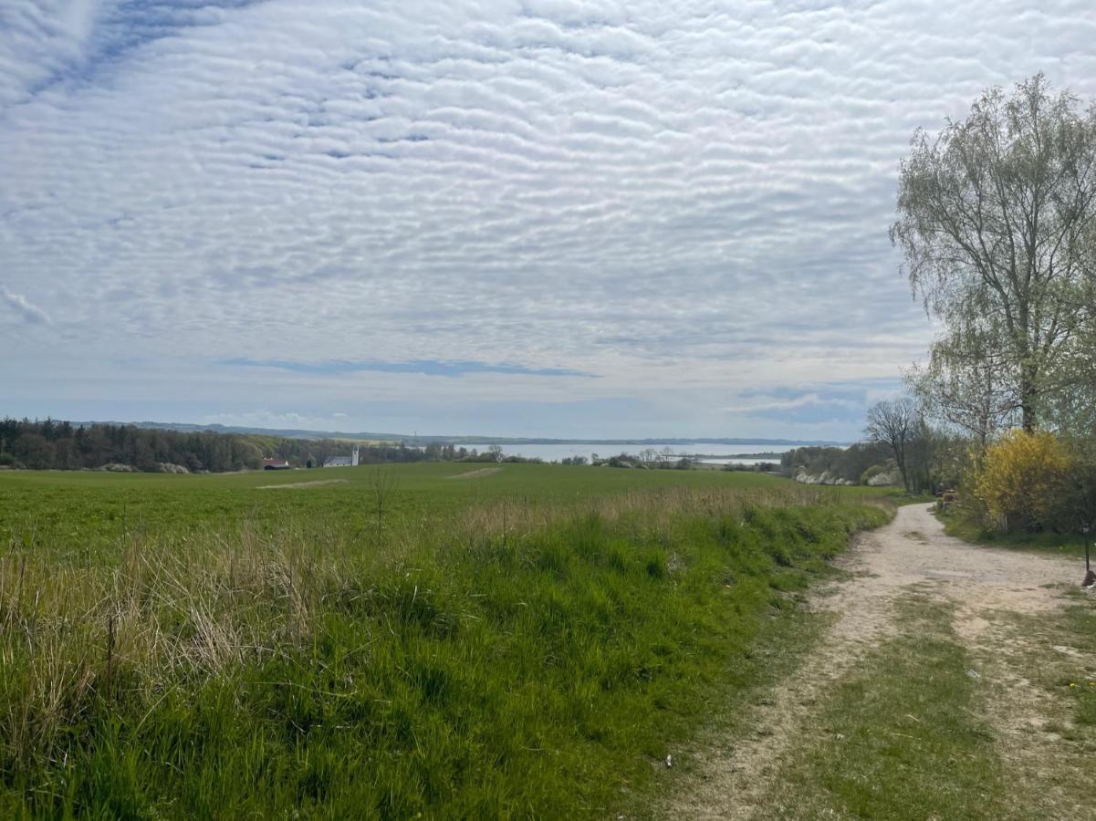 Villa Albeck Rønde Buitenkant foto